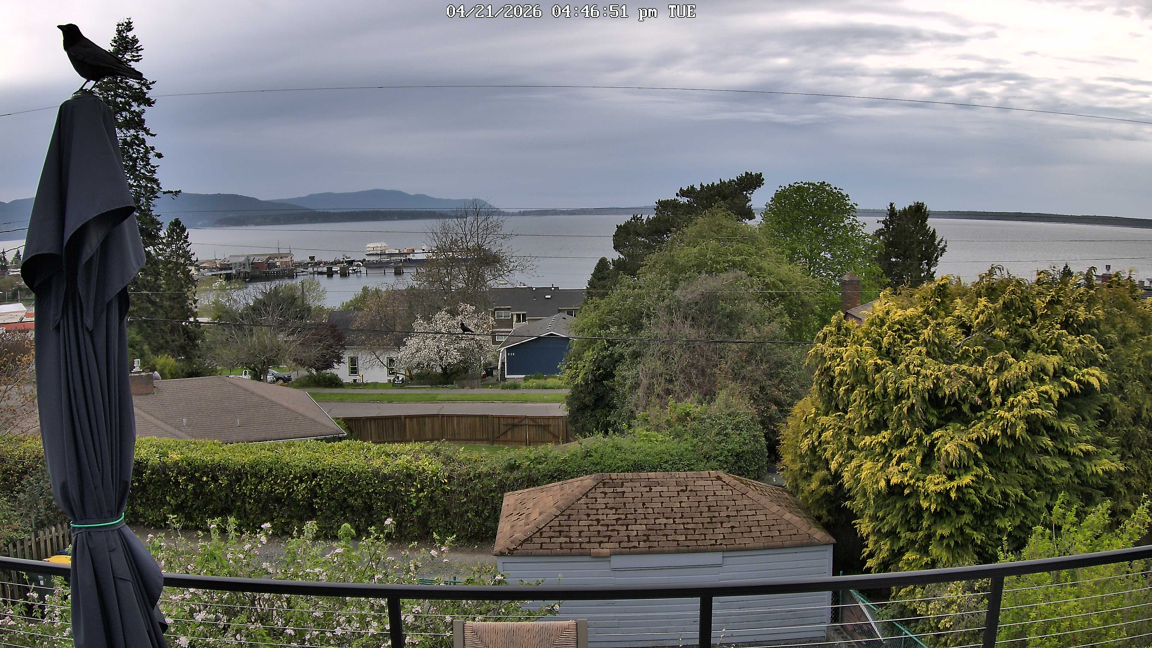 Fairhaven, Bellingham WA