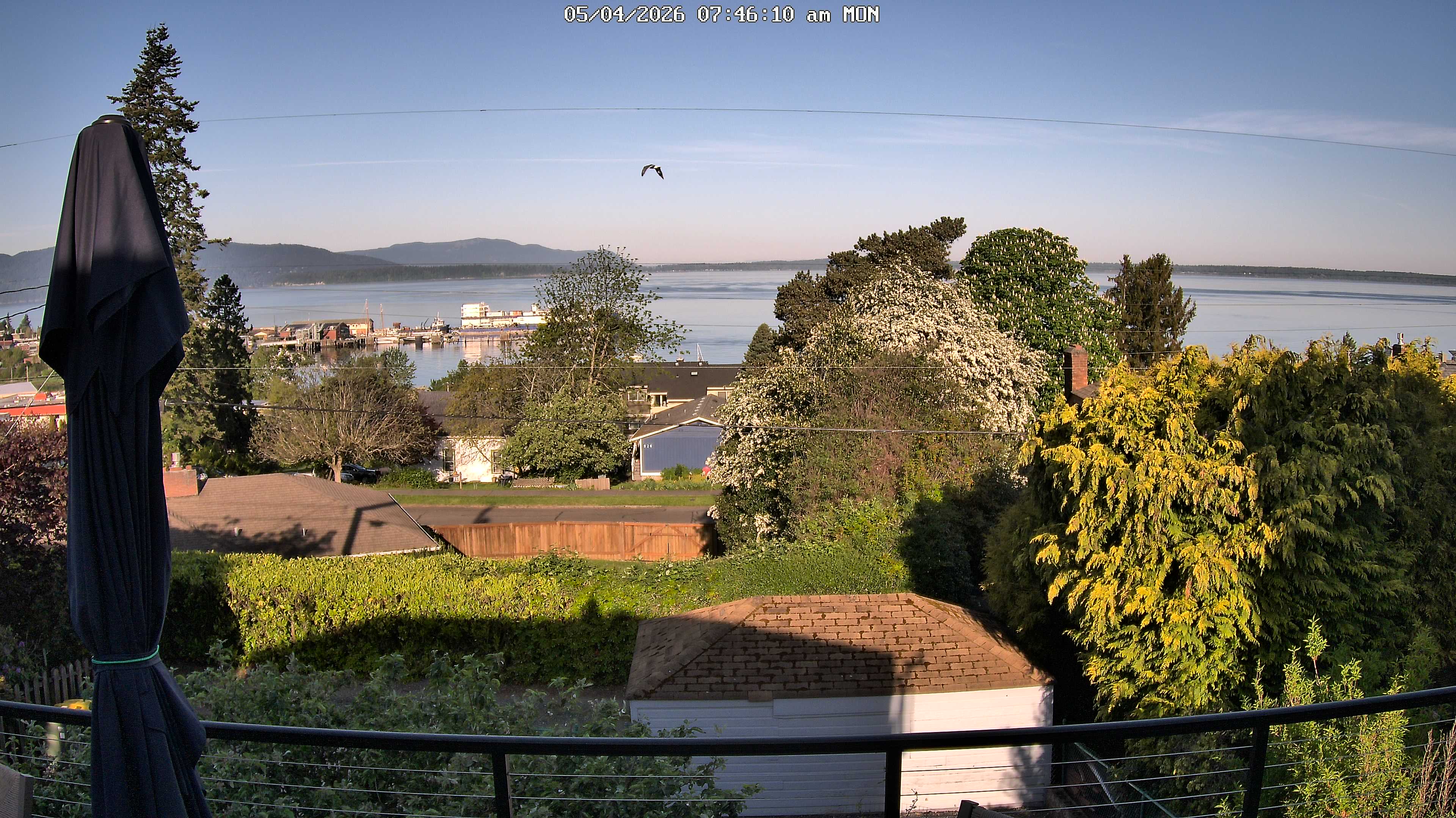 Fairhaven, Bellingham WA