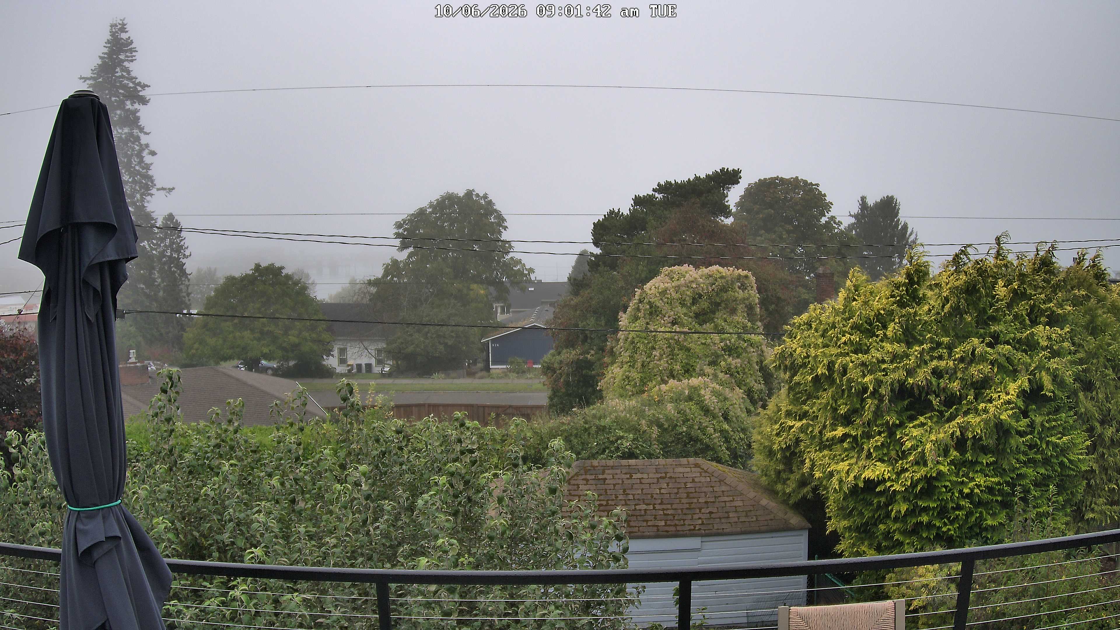 Fairhaven, Bellingham WA